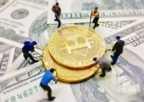 Most rumored facts of the crypto world Most rumored facts of the crypto world