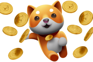 BABYDOGE Coin – Kickstarter Review