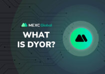 What does DYOR mean, and why every trader should do it first? What does DYOR mean, and why every trader should do it first?