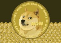 What is DogeCoin (DOGE) What is DogeCoin (DOGE)