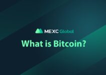 What is Bitcoin (BTC)