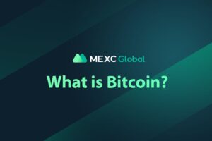 What is Bitcoin (BTC)