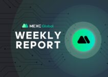 MEXC Weekly Report – Key events for 13-19th of December MEXC Weekly Report – Key events for 13-19th of December