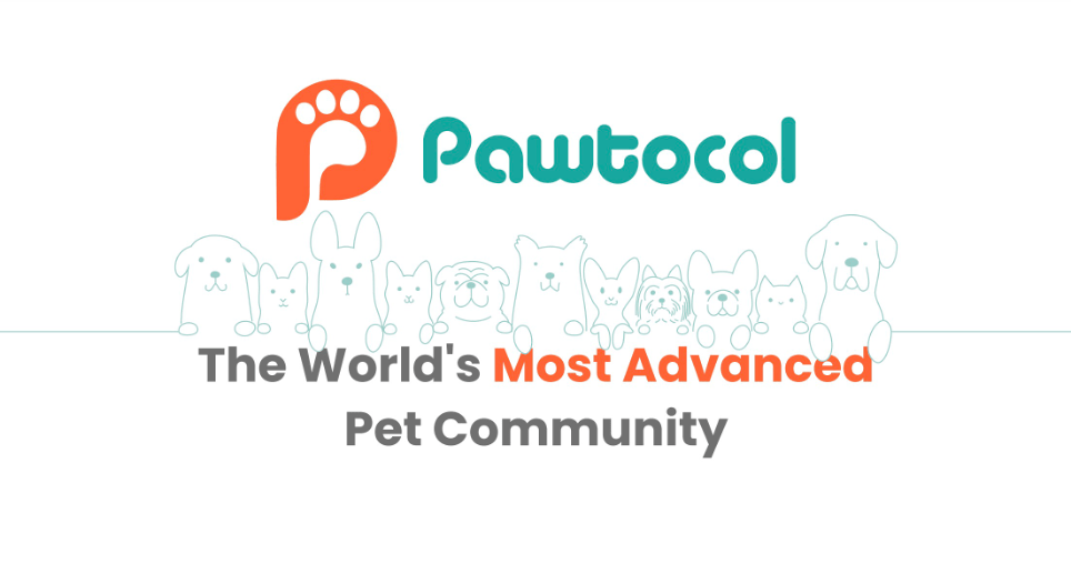 Pawtocol, the World’s Most Advanced Pet Community now at MEXC Pawtocol, the World’s Most Advanced Pet Community now at MEXC