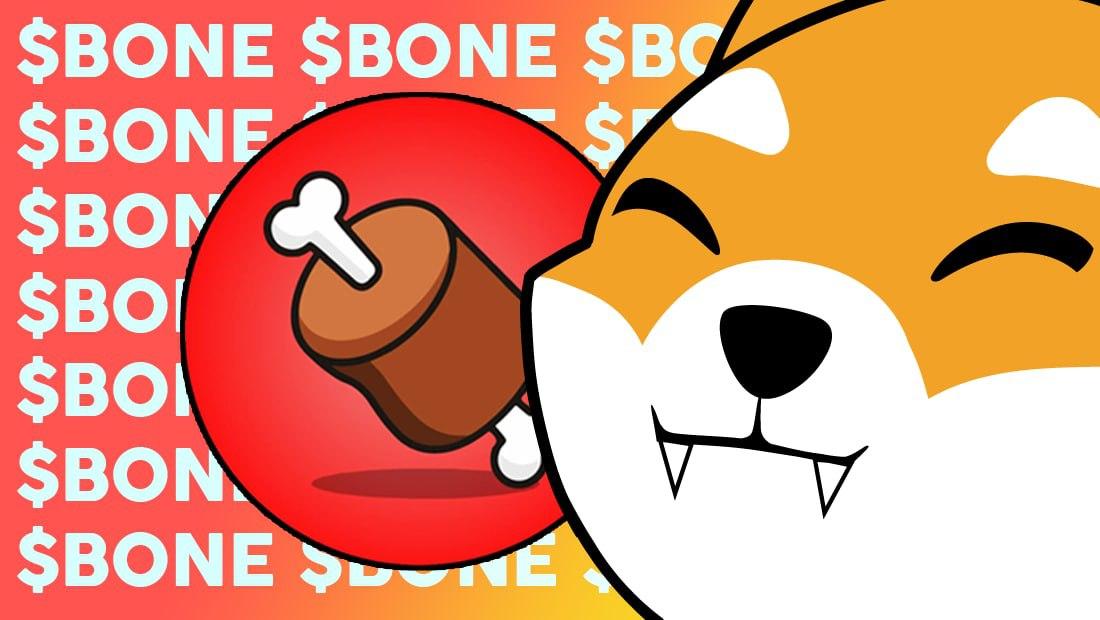 What is ShibaSwap (BONE) What is ShibaSwap (BONE)