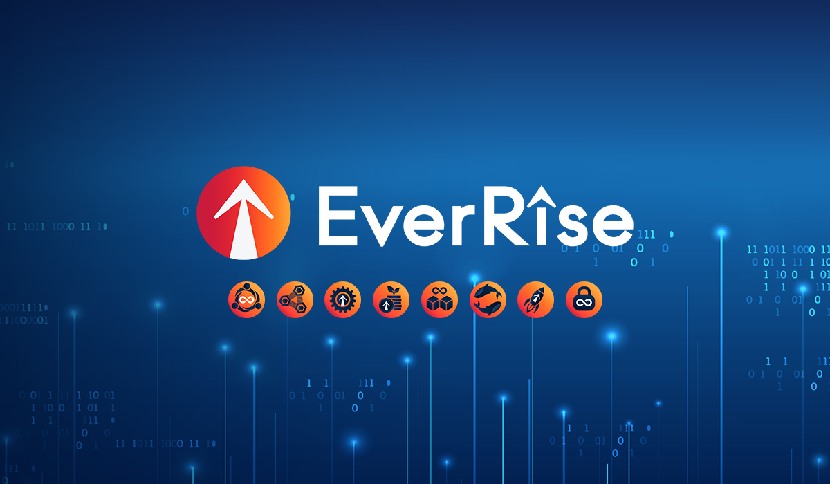 What is EverRise (RISE) What is EverRise (RISE)