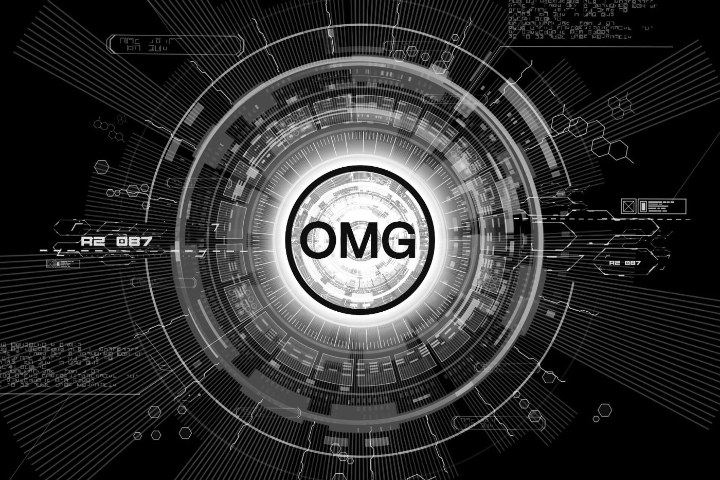 What is OMG Foundation (OMG) What is OMG Foundation (OMG)
