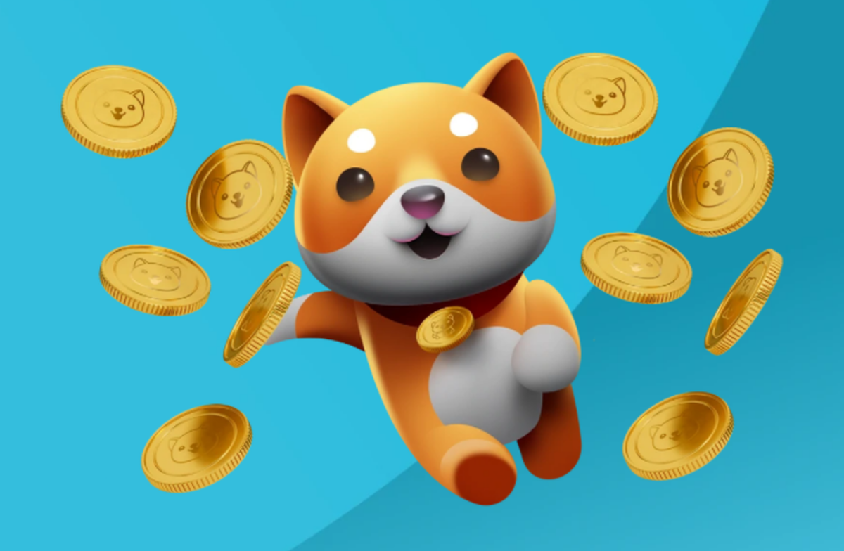 What is Baby Doge (BABYDOGE) What is Baby Doge (BABYDOGE)