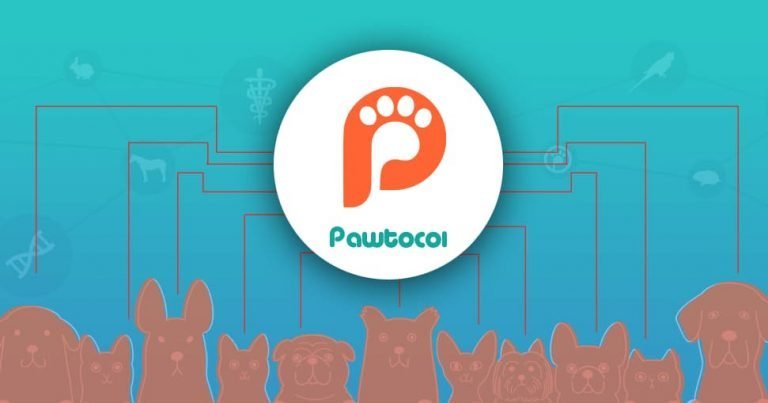 What is Pawtocol (UPI)
