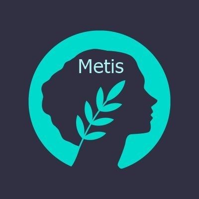 What is Metis Virtual Machine (METIS) What is Metis Virtual Machine (METIS)