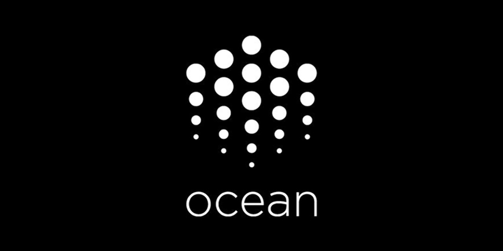 What is Ocean Protocol (OCEAN)? What is Ocean Protocol (OCEAN)?