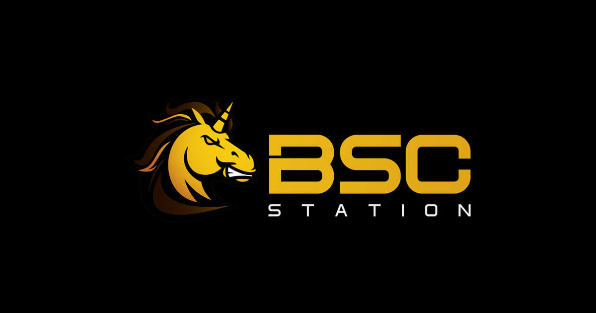 What is BSC Station (BSCS)? What is BSC Station (BSCS)?