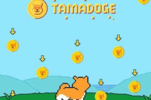 What Is Tamadoge (TAMA)