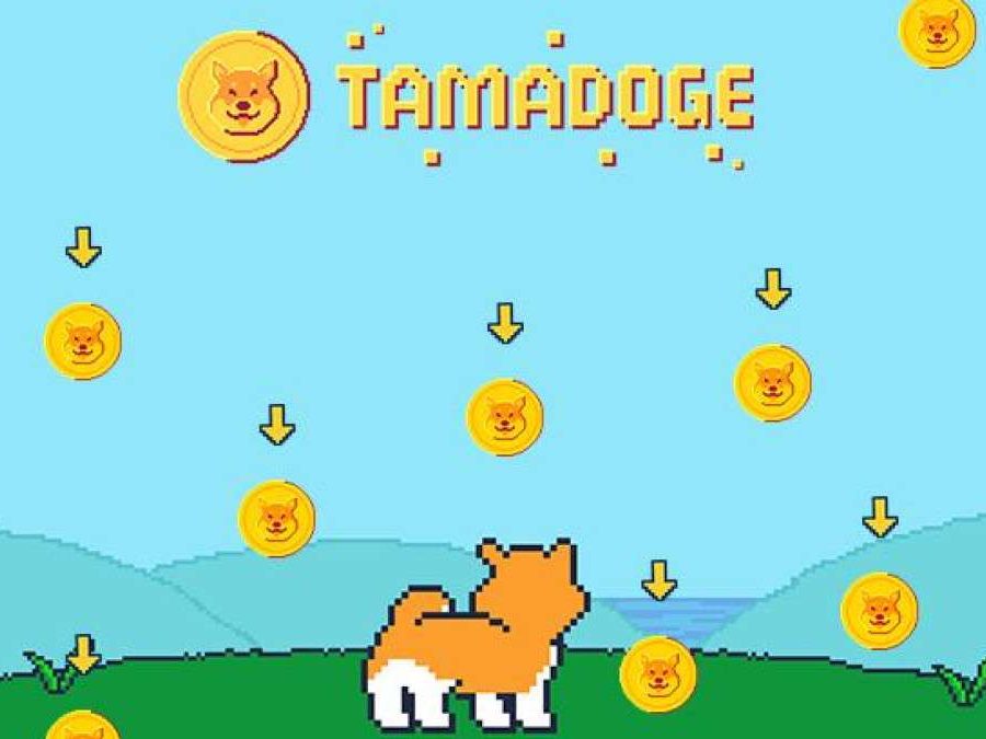 What Is Tamadoge (TAMA) What Is Tamadoge (TAMA)
