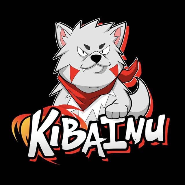 What is Kiba Inu (KIBA)? What is Kiba Inu (KIBA)?