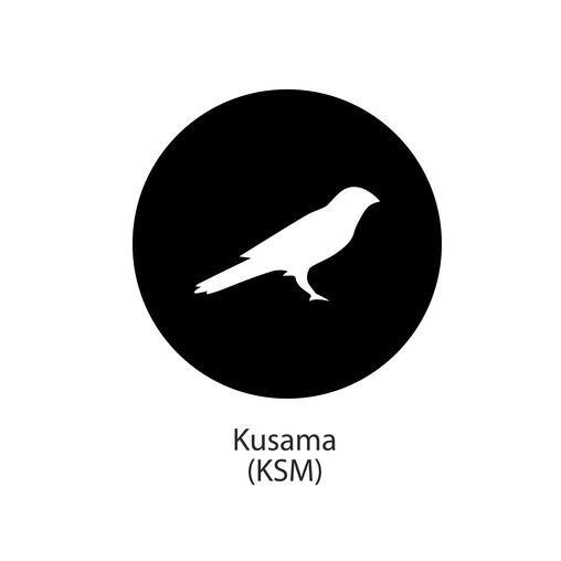 What is Kusama (KSM)? What is Kusama (KSM)?