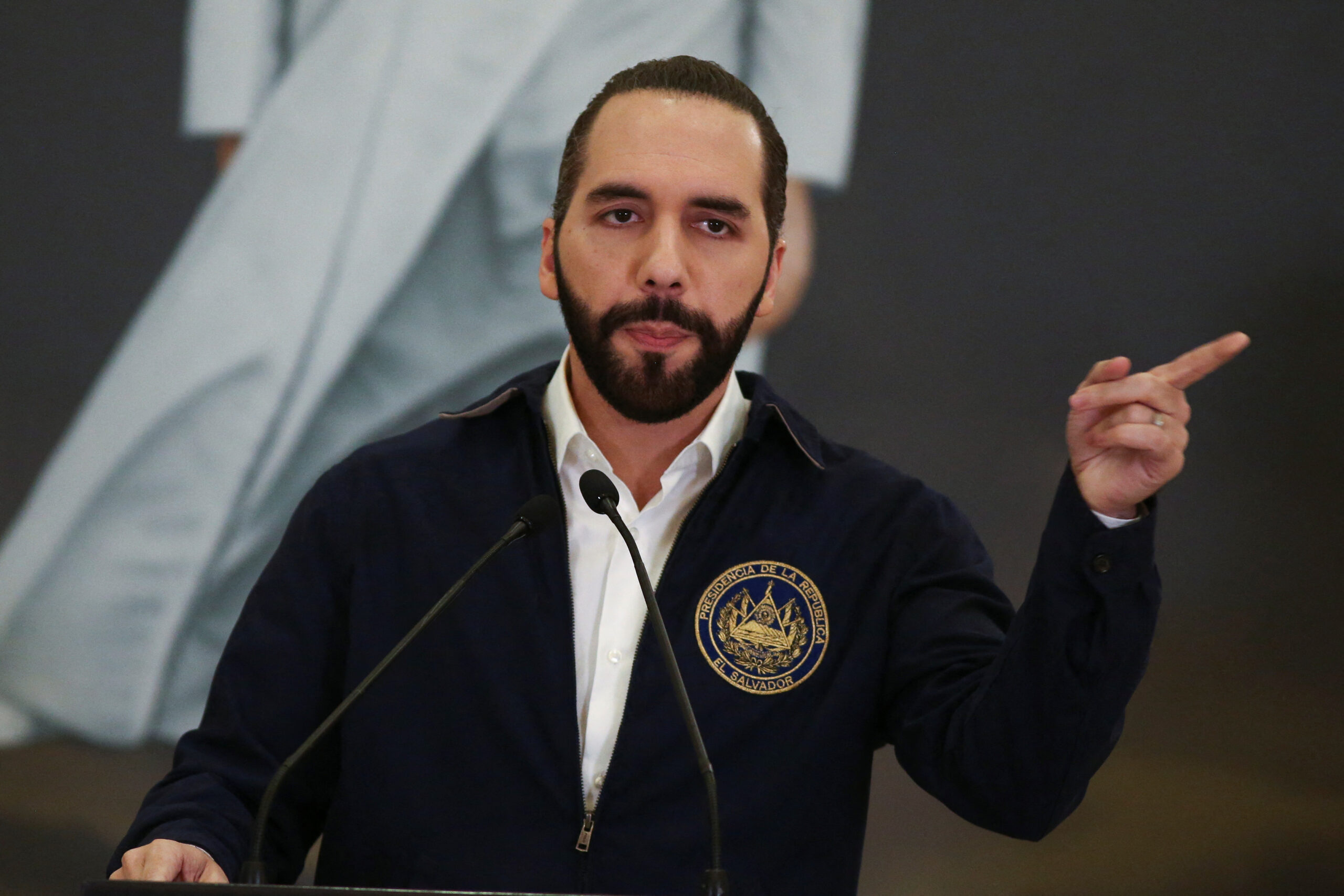 President of El Salvador Nayib Bukele: Buy One Bitcoin Per Day President of El Salvador Nayib Bukele: Buy One Bitcoin Per Day