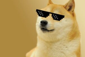 Why Dogecoin Was Up 25% Last Week?