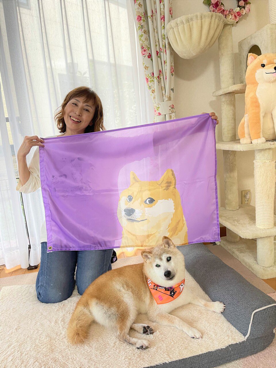 DOGE Coin’s Real-Life Dog Kabosu is Severely Sick DOGE Coin’s Real-Life Dog Kabosu is Severely Sick