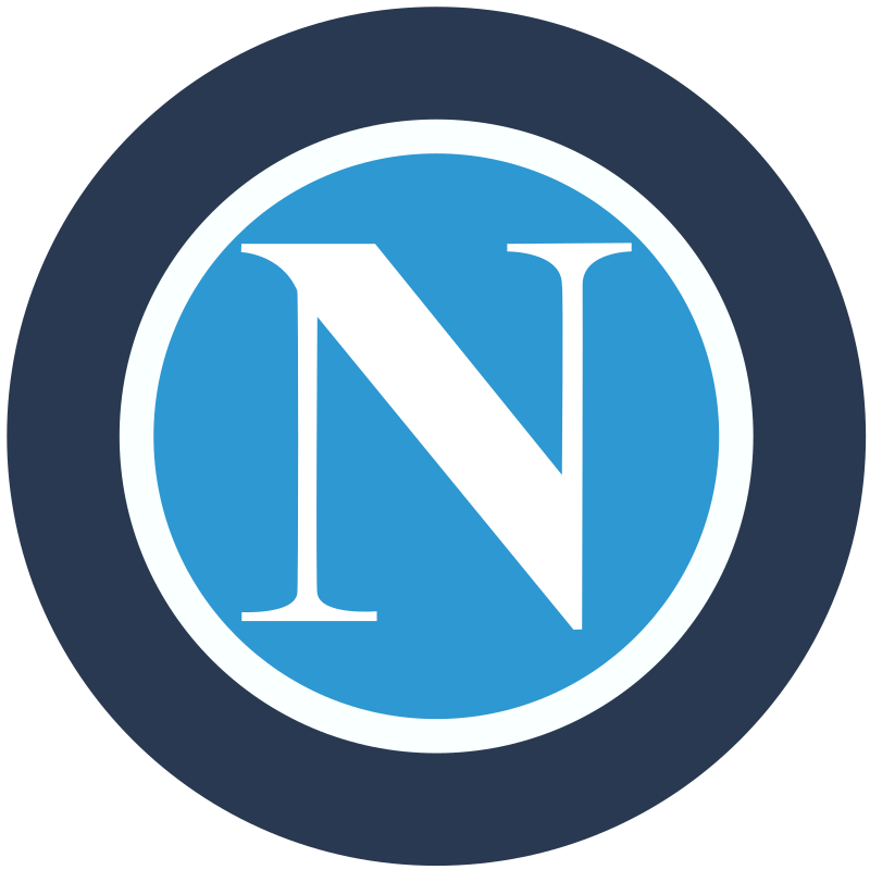 What is Napoli Fan Token (NAP) What is Napoli Fan Token (NAP)