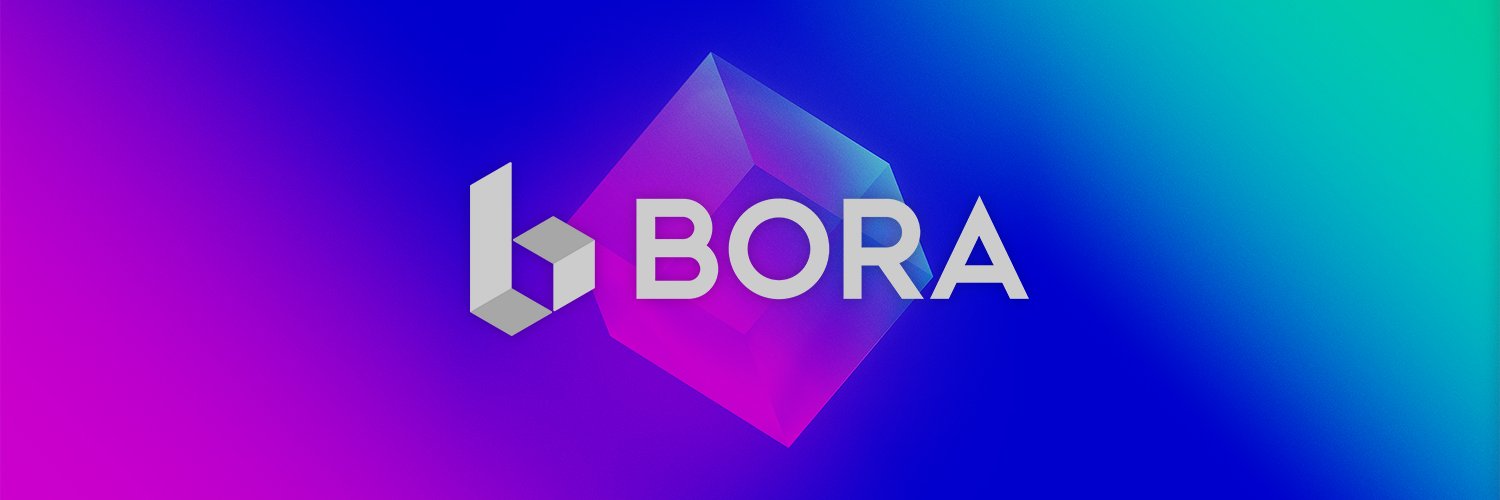 What is BORA 2.0 (BORA) What is BORA 2.0 (BORA)
