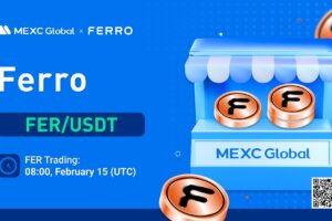 What is Ferro (FER)