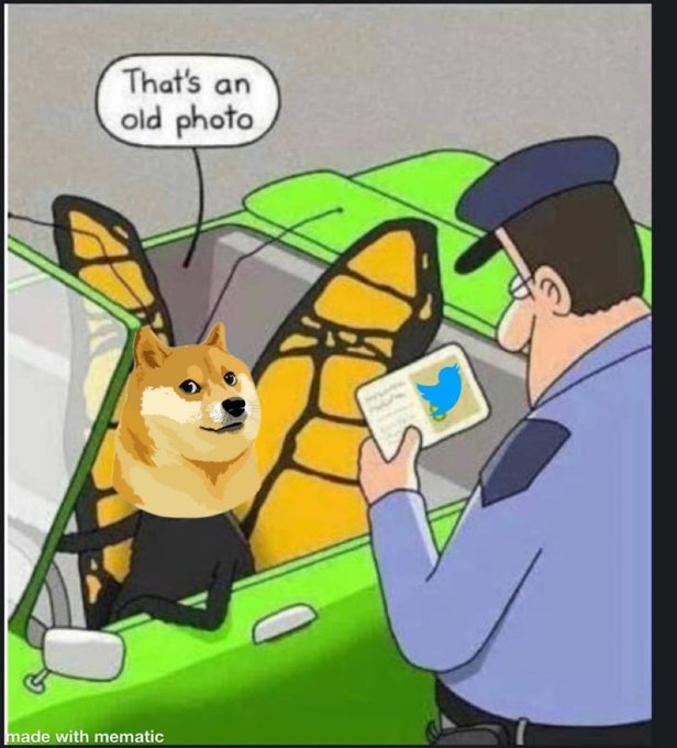 Elon Musk Changes Twitter Icon, Dogecoin Pumps Elon Musk Changes Twitter Icon, Dogecoin Pumps