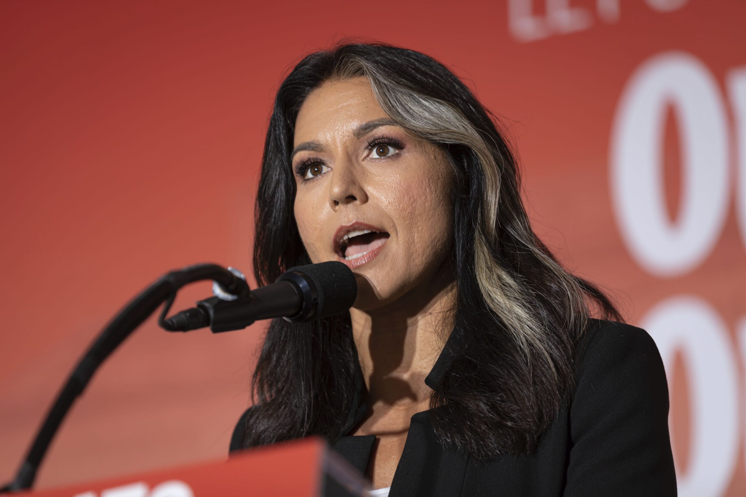 Tulsi Gabbard – CBDC Will Control and Monitor Our Every Move Tulsi Gabbard – CBDC Will Control and Monitor Our Every Move