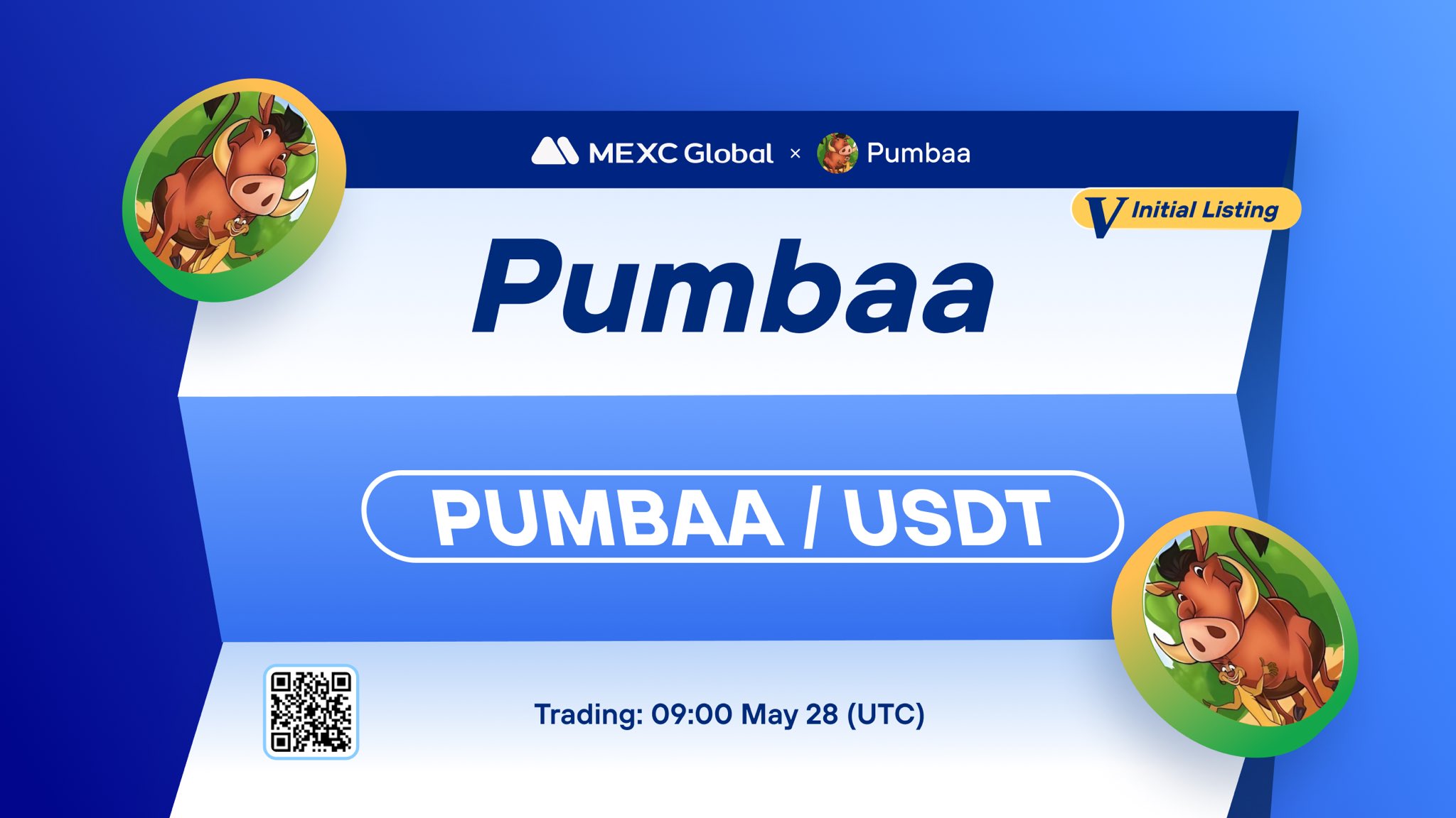 What is Pumbaa Token (PUMBAA) What is Pumbaa Token (PUMBAA)
