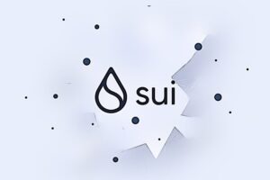 SUI BLOCKCHAIN