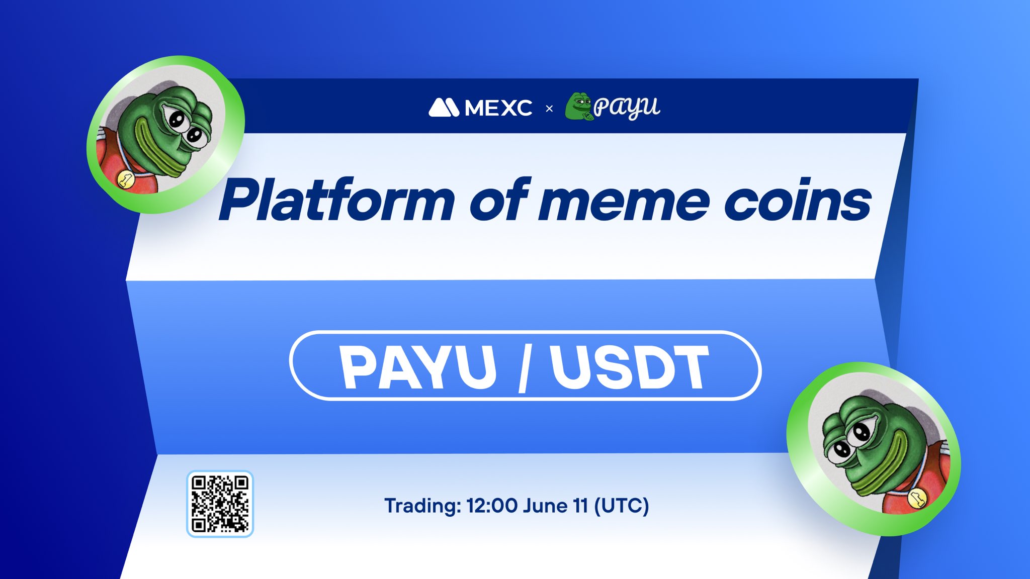 What is the Platform of Meme Coins (PAYU) What is the Platform of Meme Coins (PAYU)