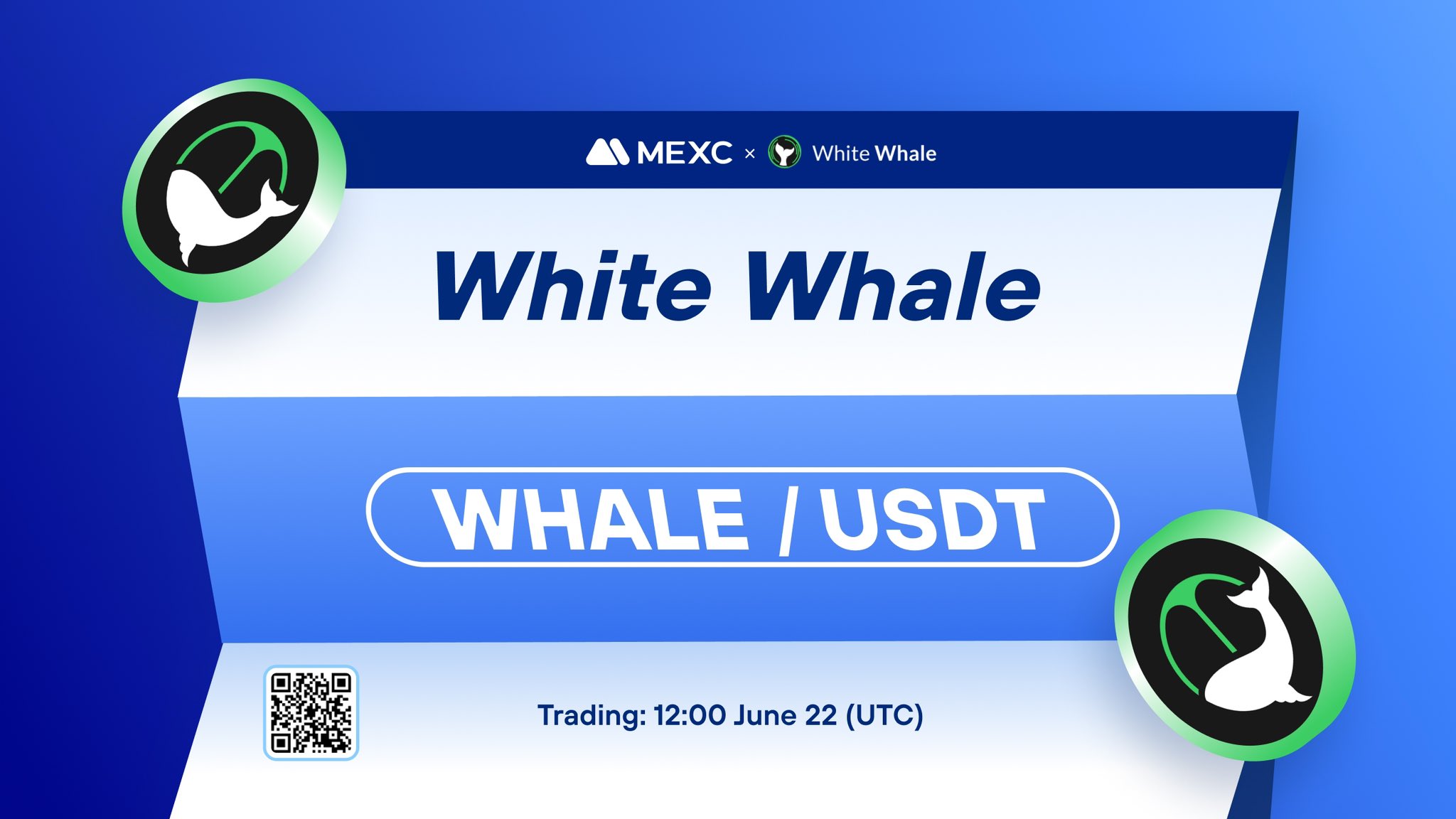 What is White Whale DeFi (WHALE) What is White Whale DeFi (WHALE)