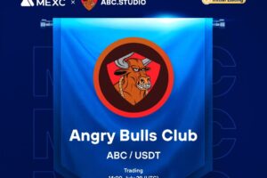 What is Angry Bulls Club (ABC)