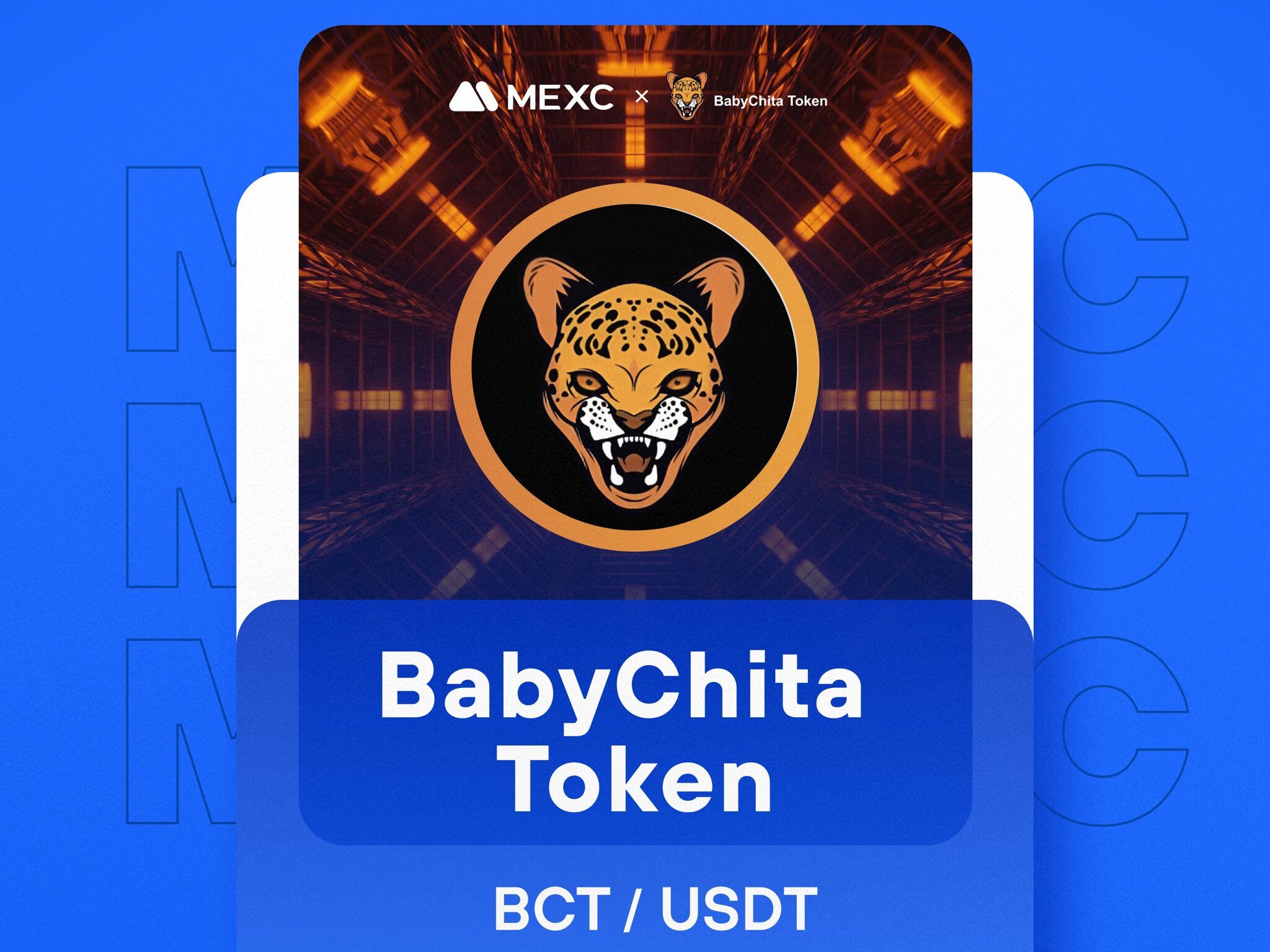 What is Chitaverse (BCT) What is Chitaverse (BCT)