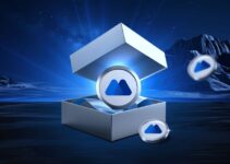 Understanding The Functions and Benefits of MX Tokens Understanding The Functions and Benefits of MX Tokens
