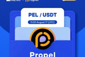 What is Propel (PEL)