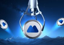 Why Should You Hold MX Tokens? Why Should You Hold MX Tokens?