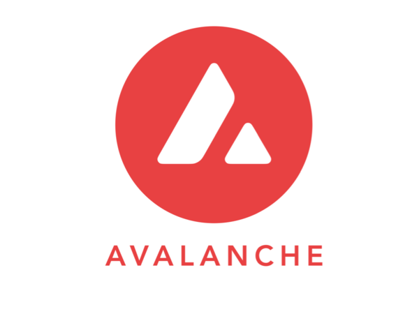 Avalanche Foundation Dives into Memecoins: Expanding the Horizon of Crypto Investments Avalanche Foundation Dives into Memecoins: Expanding the Horizon of Crypto Investments