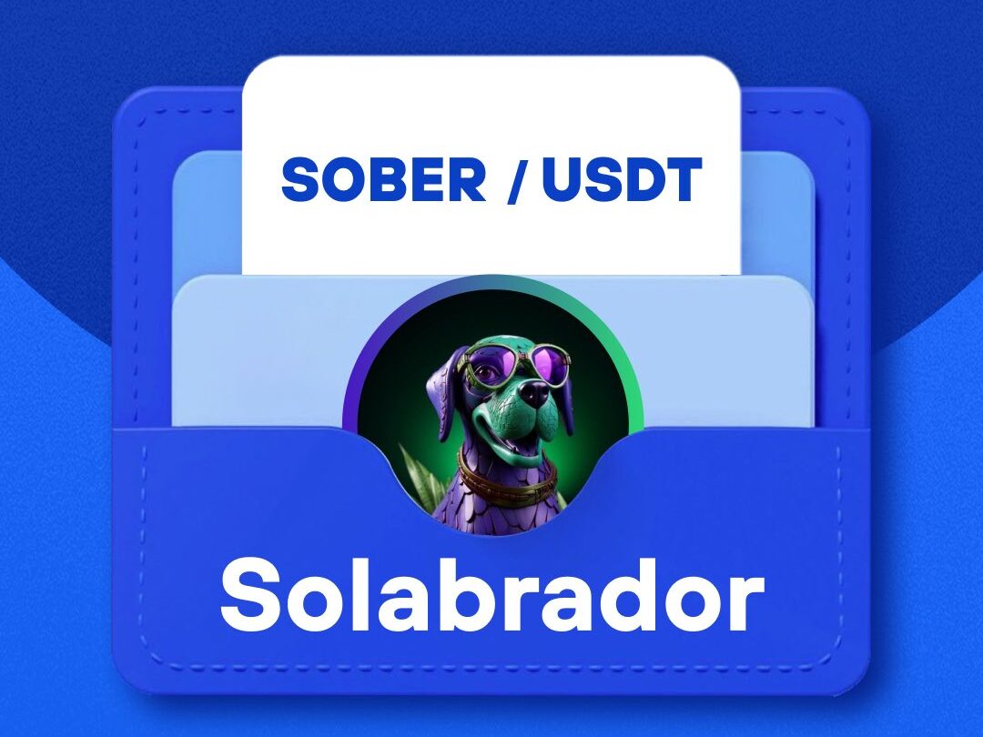 What is Solabrador – A Whoooof Memecoin On the Solana Blockchain (SOBER) What is Solabrador – A Whoooof Memecoin On the Solana Blockchain (SOBER)
