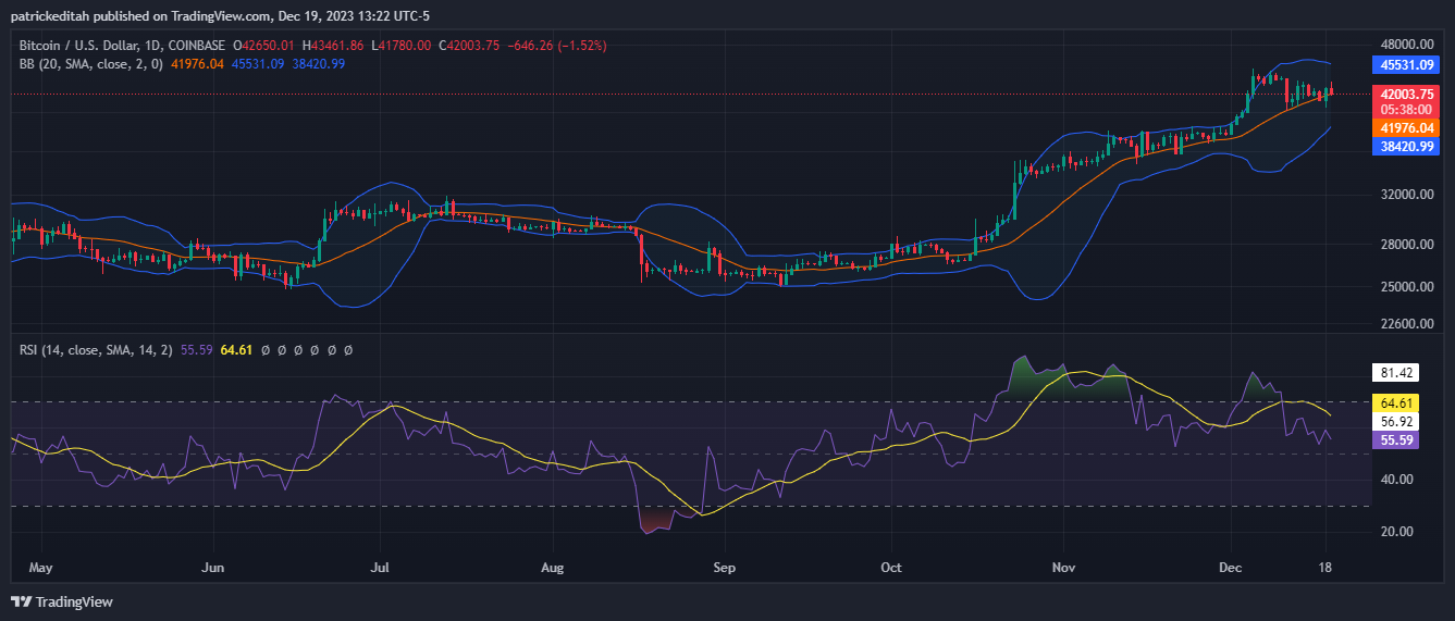 Small Bitcoin Wallets Reach Record Holdings; Whales Dominate Market Small Bitcoin Wallets Reach Record Holdings; Whales Dominate Market