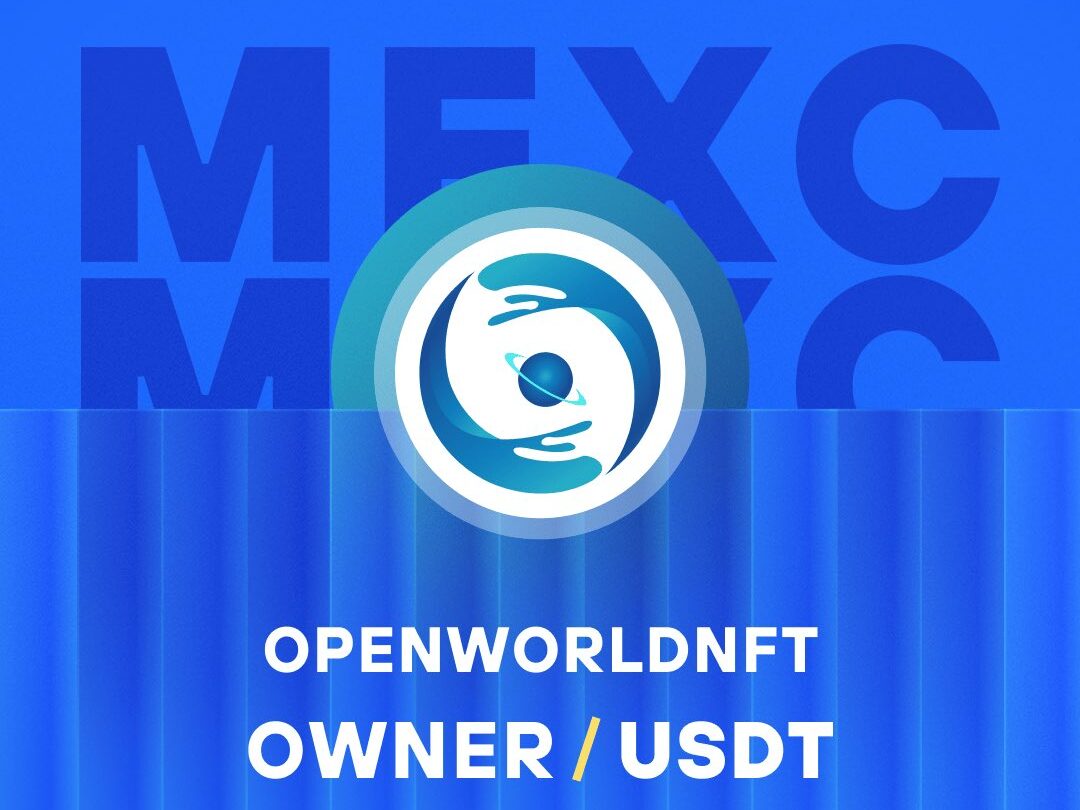 What is Open World NFT – A Decentralized NFT Marketplace (OWNER)