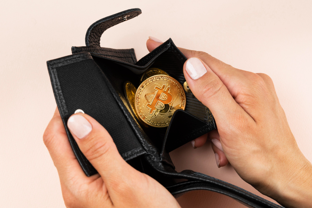 The History and Evolution of Crypto Wallets The History and Evolution of Crypto Wallets