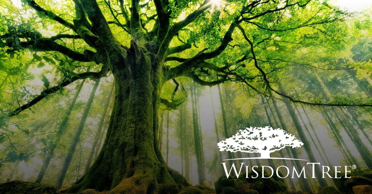 WisdomTree’s Strategic Growth: From IPO to Bitcoin ETF Approval by SEC WisdomTree’s Strategic Growth: From IPO to Bitcoin ETF Approval by SEC