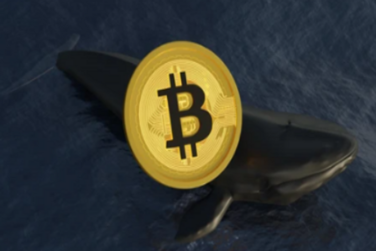 Bitcoin Price Stays Strong Despite Whale Selling Bitcoin Price Stays Strong Despite Whale Selling