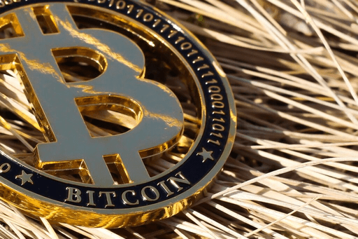 Bitcoin Bounces Back as Massive Whale Transfer Sparks Speculation