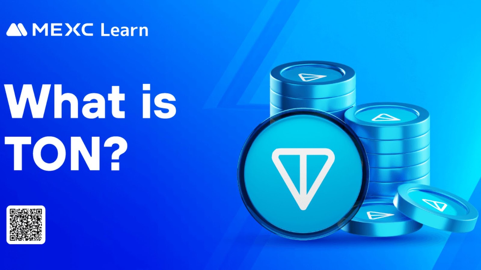 Can Whales Steer Toncoin to New Heights? Can Whales Steer Toncoin to New Heights?