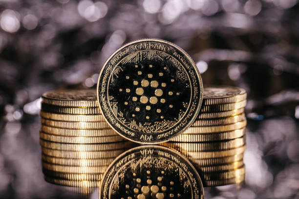 Cardano Survives DDoS Attack, Showcases Network Resilience Cardano Survives DDoS Attack, Showcases Network Resilience