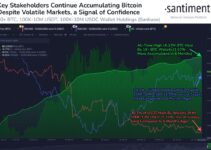 Bitcoin Stakeholders Ramp Up Holdings as Market Confidence Grows Bitcoin Stakeholders Ramp Up Holdings as Market Confidence Grows