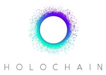 What is Holochain – Developing Dapps Without Blockchain (HOT) What is Holochain – Developing Dapps Without Blockchain (HOT)