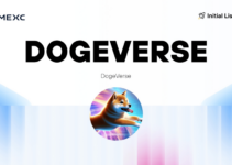 What is Dogeverse – The World’s First Multi-chain Meme Coin What is Dogeverse – The World’s First Multi-chain Meme Coin
